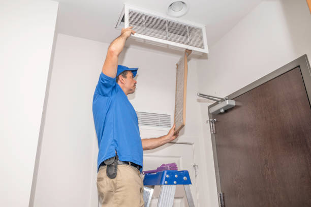 Air Duct Mold Removal in Day Heights, OH